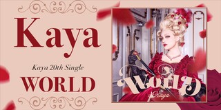 Kaya Official Website