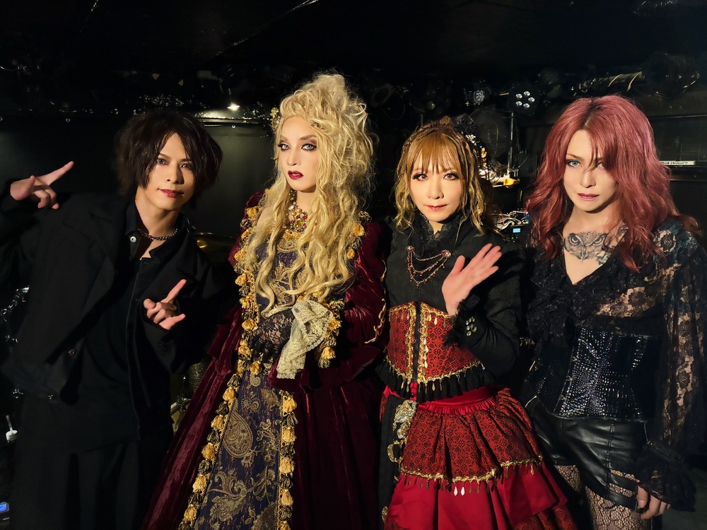 Kaya Official Website
