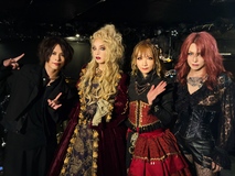 Kaya Official Website