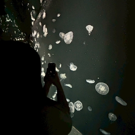 現役歌王　サイン入り集合ポロライド 現役歌王 ALL STAR DREAM MATCH満員御礼！TAKUYAサイン入りうちわ